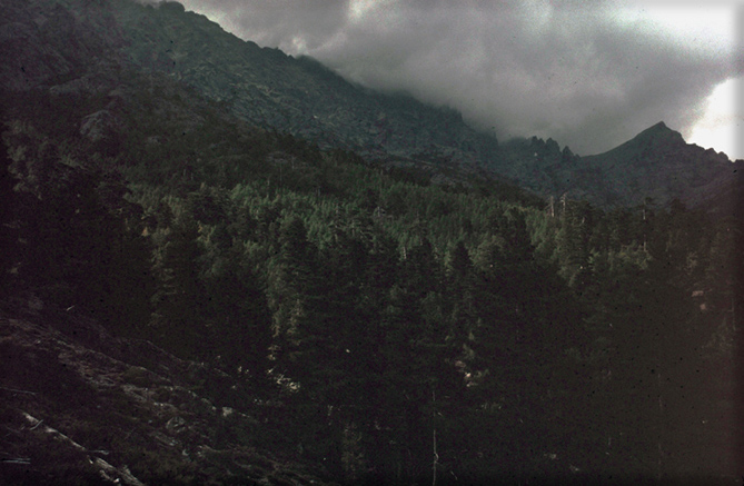 n_26  Cinto - Pta Missoghiu 2070m nw vom Cinto.jpg